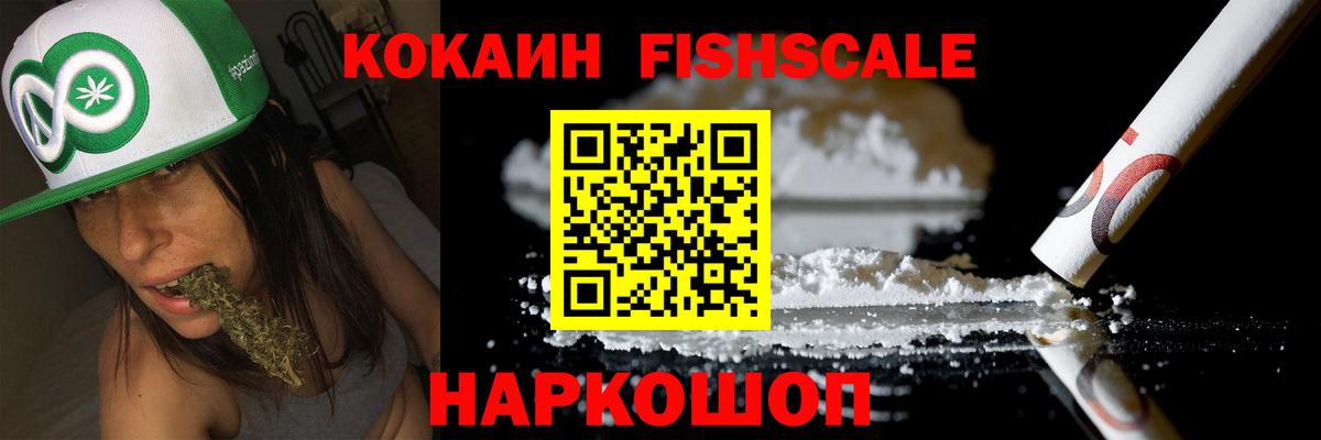Кольчугино  Cocaine Fish Scale  Вход с VPN 