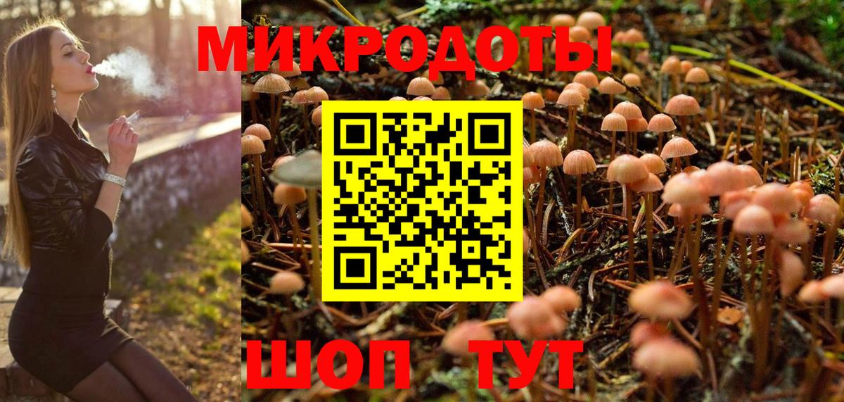 Псилоцибиновые грибы MAGIC MUSHROOMS Кольчугино