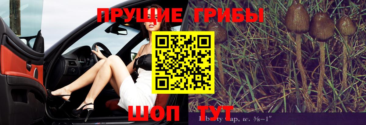Галлюциногенные грибы Psilocybe  купить закладку  Кольчугино  Галлюциногенные грибы MAGIC MUSHROOMS  Вход с VPN 